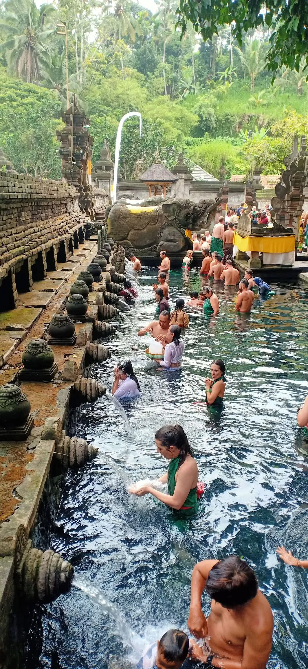 Ubud Highlight Tour