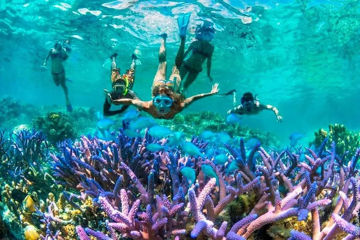 Snorkeling Activity Tour