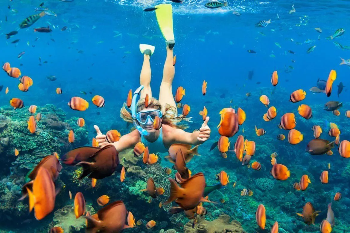 Nusa Penida Manta Ray Snorkeling Experience